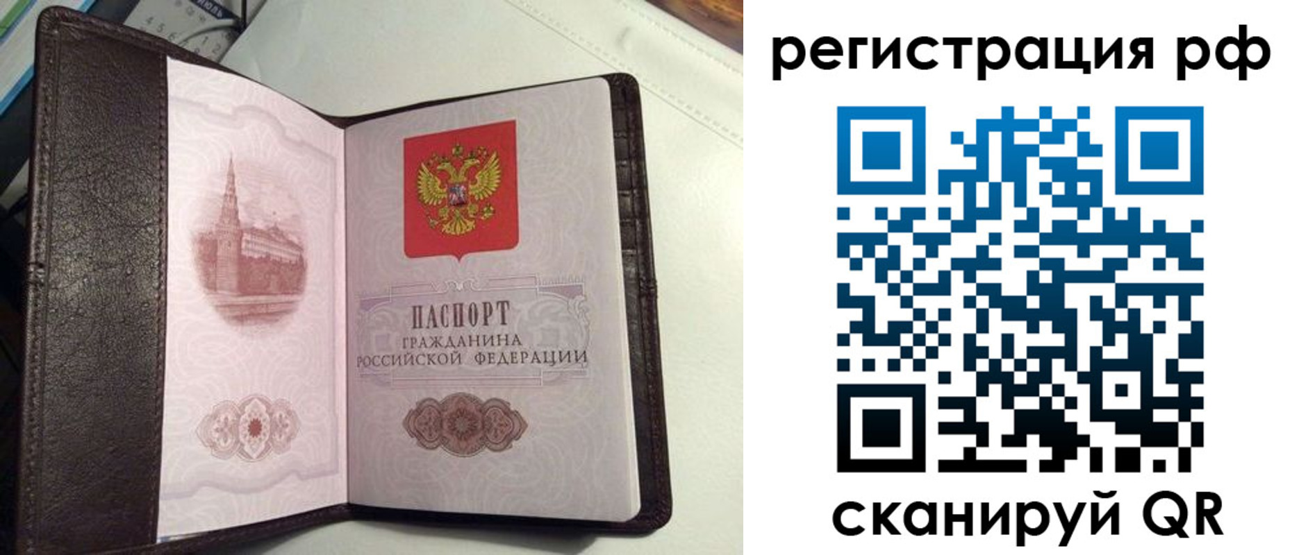 купить прописку в Лосино-Петровском