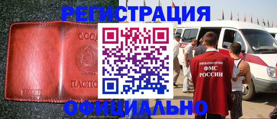прописка ребенка в Лосино-Петровском